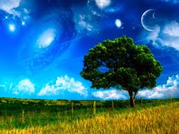 Nature